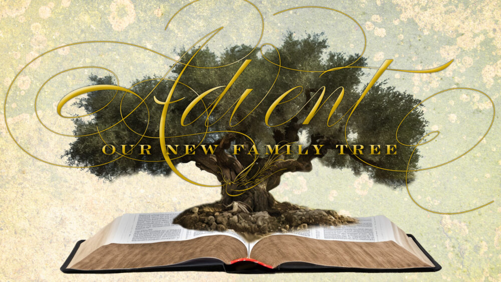 Advent: Our New Family Tree