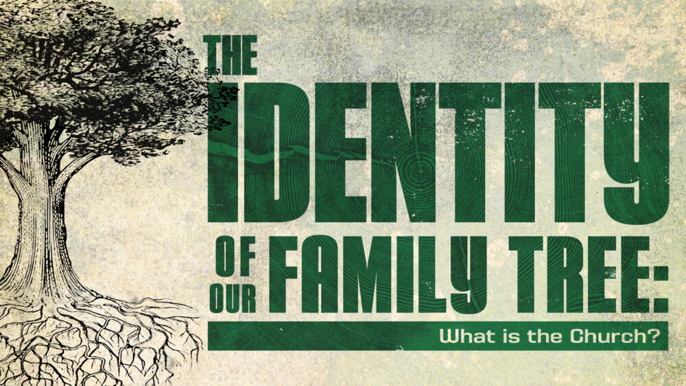 The Identity of Our Family Tree