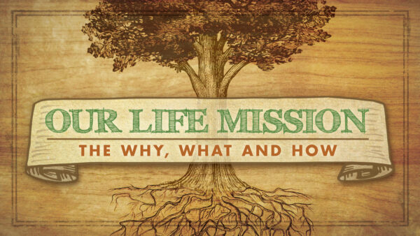 Mission: What Do We Need to Do? Image