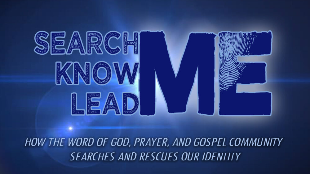 Search Me, Know Me, Lead Me